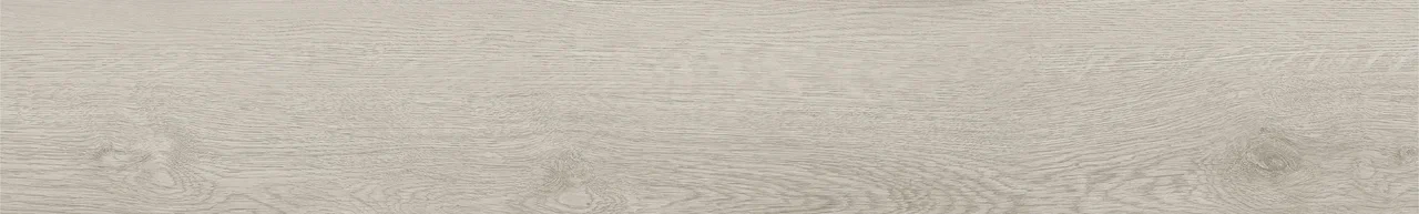 Дуб Виллем/Oak Willem