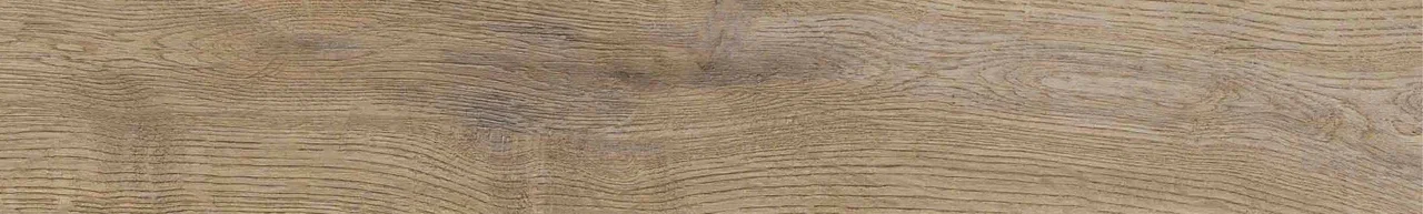 Дуб Васко/Oak Vasko