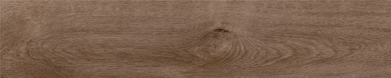 Дуб Старк/Oak Stark