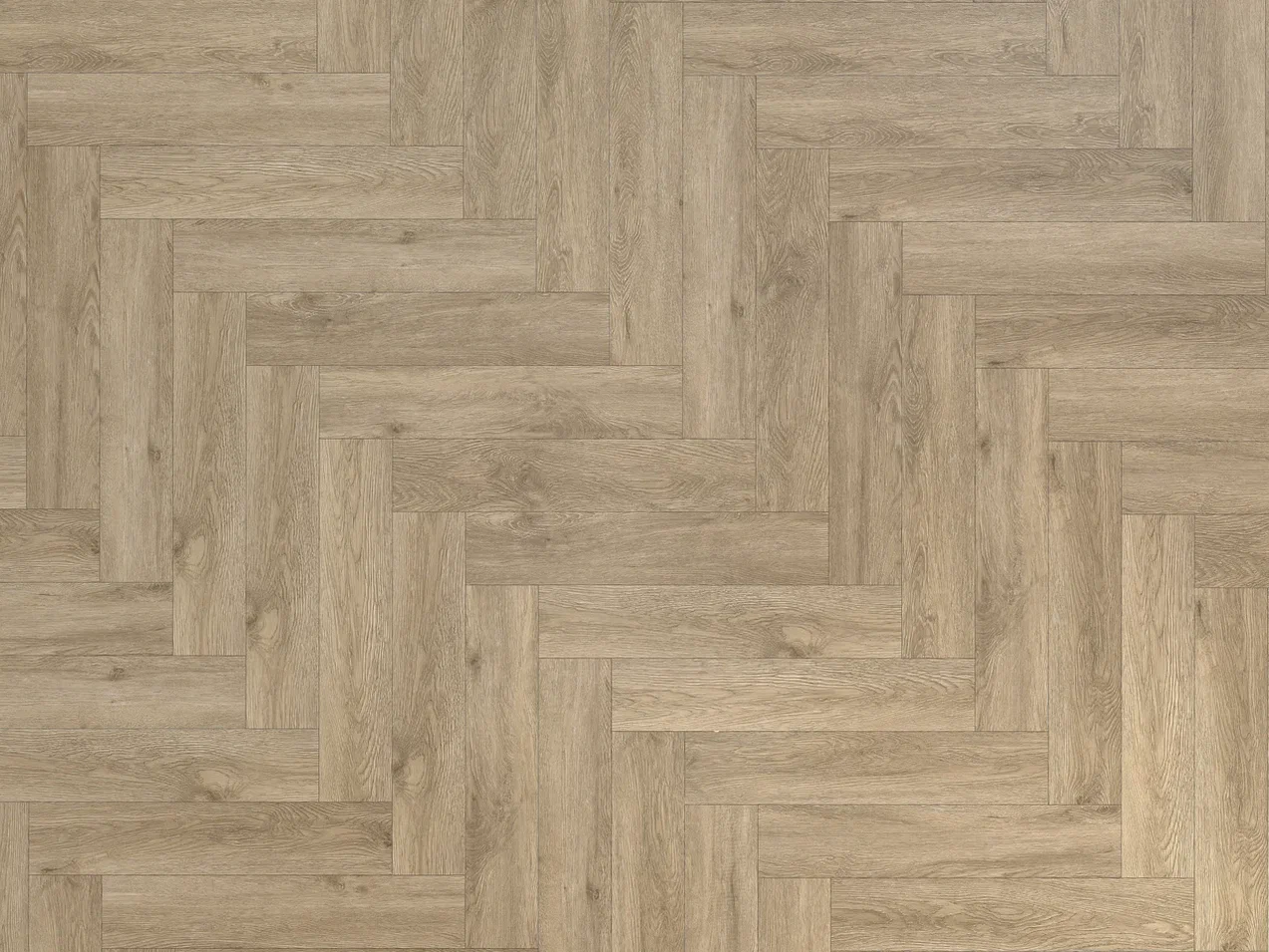 Дуб Бове/Oak Bouvet