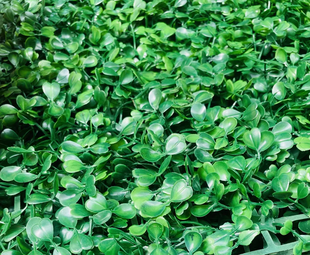 Искусственная изгородь "Самшит"(Милан) 308, 40х60 см ( Темно-зеленый)