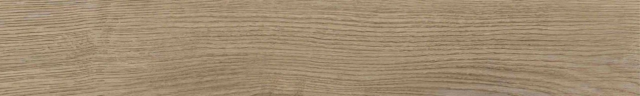 Дуб Васко/Oak Vasko