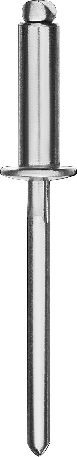 KRAFTOOL Inox, 4.8 x 25 мм, 250 шт, нержавеющие заклепки (311705-48-25)