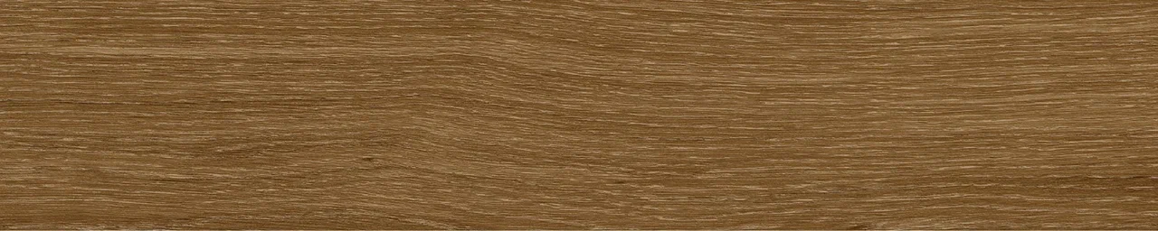 Дуб Оскар/Oak Oskar