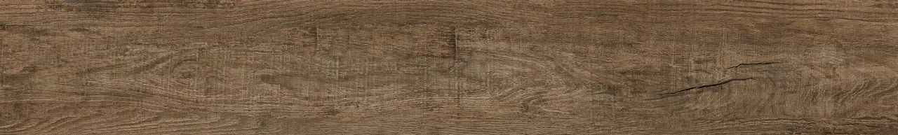 Дуб Френсис/Oak Frencis