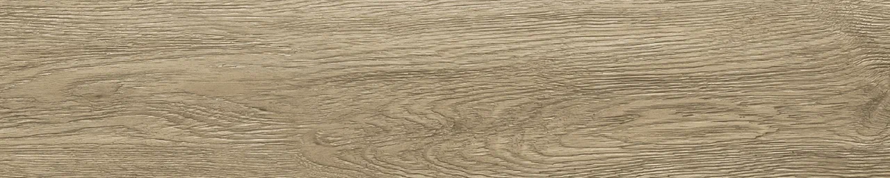 Дуб Бове/Oak Bouvet