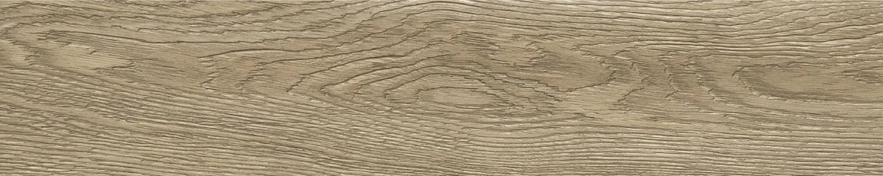 Дуб Бове/Oak Bouvet