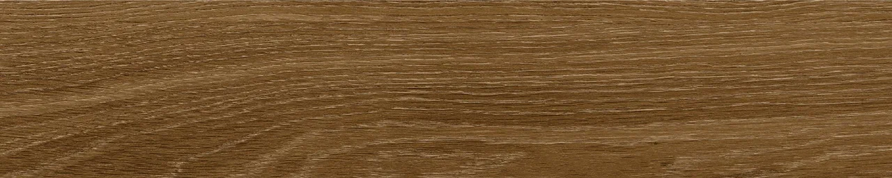 Дуб Оскар/Oak Oskar