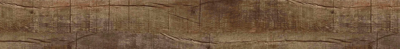 Дуб Джанни/Oak Gianni