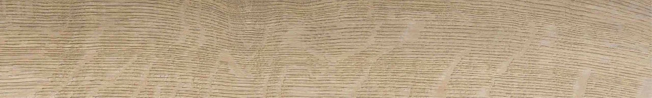 Дуб Васко/Oak Vasko