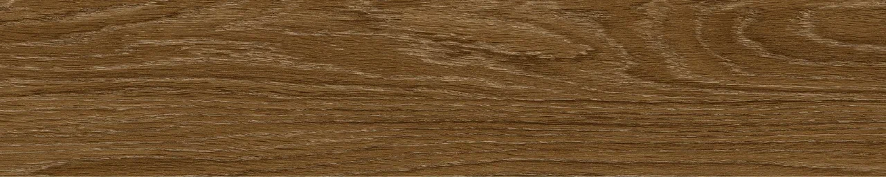 Дуб Оскар/Oak Oskar