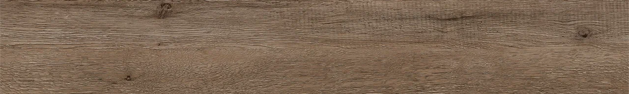 Дуб Америго/Oak Amerigo