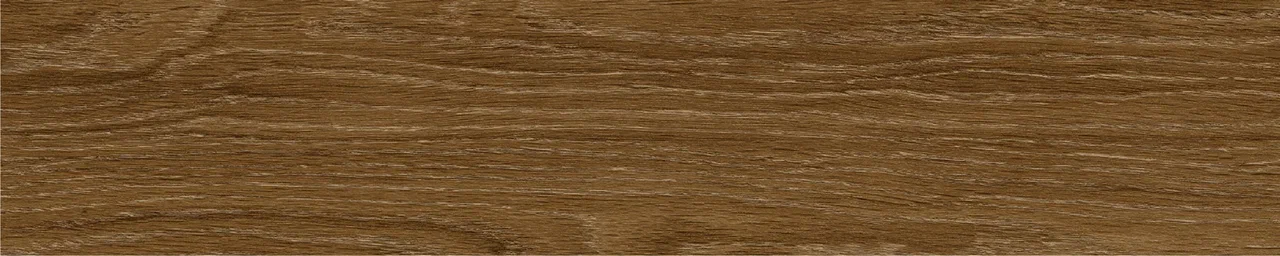 Дуб Оскар/Oak Oskar