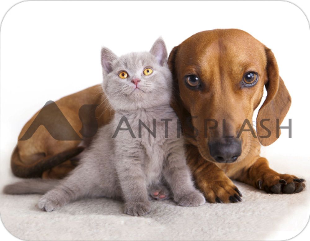 Салфетка сервировочная ПВХ 26х33,5 см дуэт