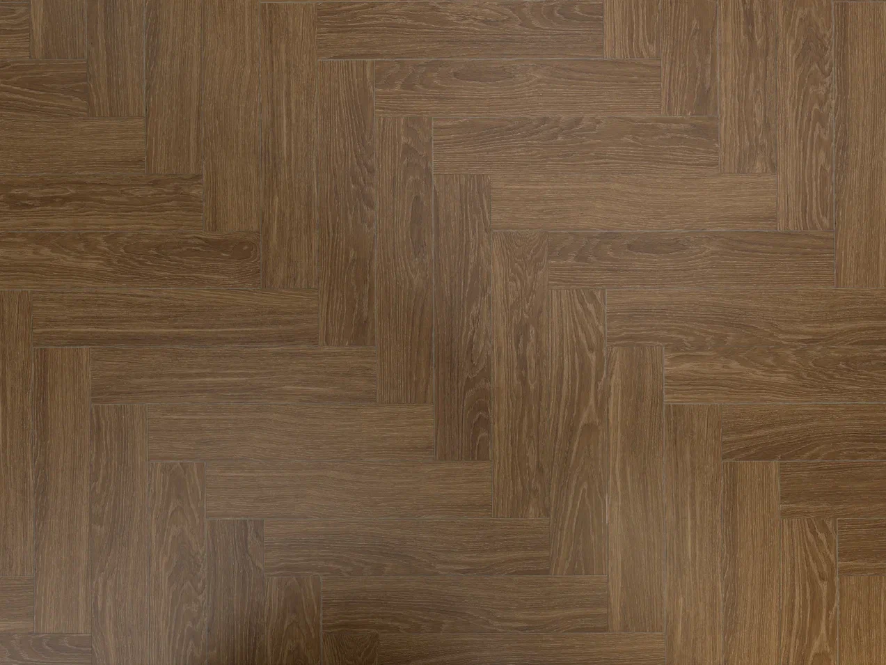 Дуб Оскар/Oak Oskar