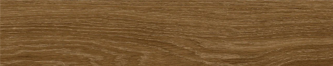 Дуб Оскар/Oak Oskar