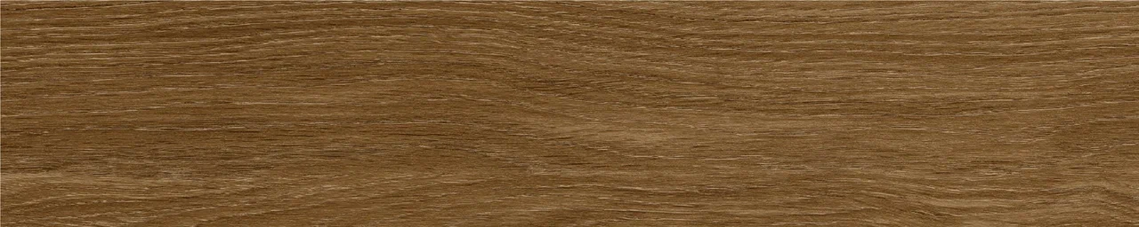 Дуб Оскар/Oak Oskar