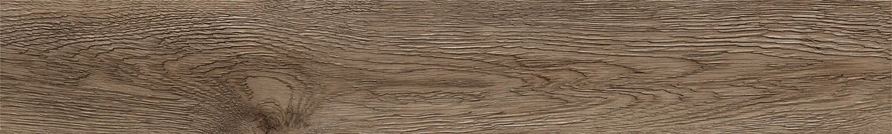 Дуб Америго/Oak Amerigo