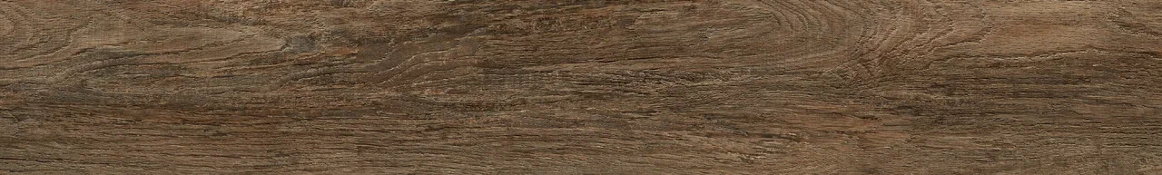 Дуб Френсис/Oak Frencis