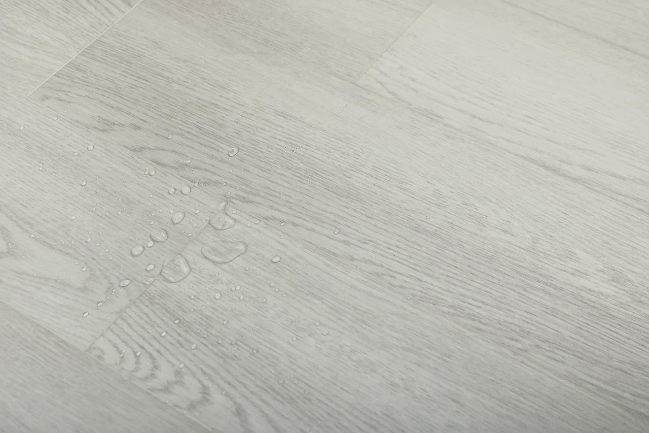 Дуб Сальваторе/Oak Salvatore