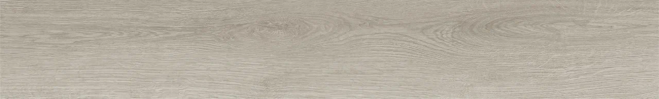 Дуб Виллем/Oak Willem