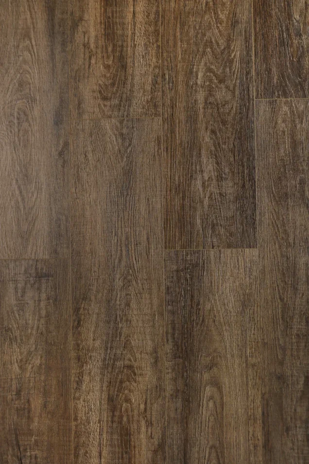 Дуб Френсис/Oak Frencis