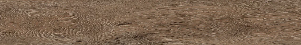 Дуб Америго/Oak Amerigo