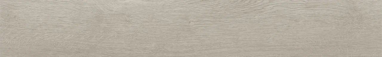 Дуб Виллем/Oak Willem