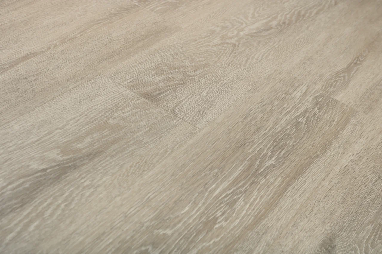  Дуб Христофор/Oak Christofor