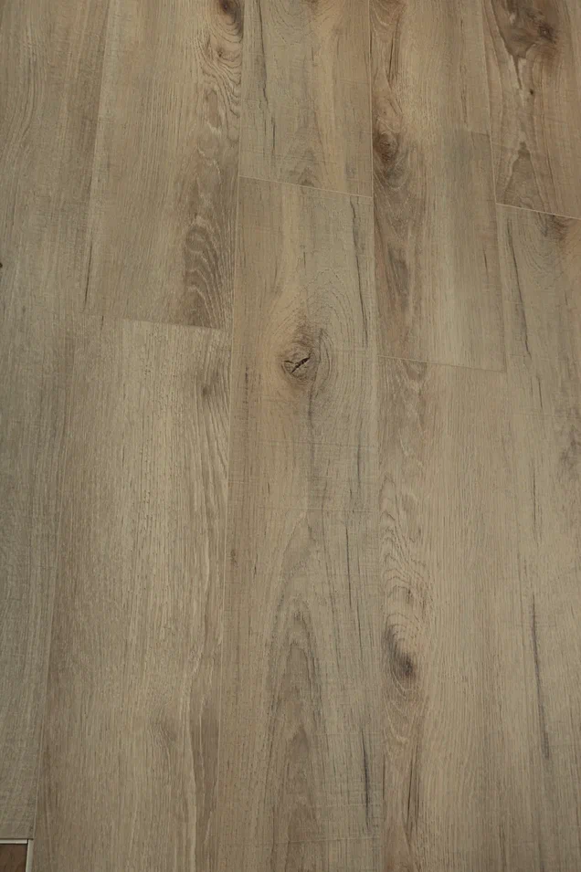 Дуб Кельвин/Oak Calvin