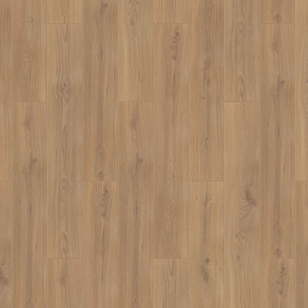 Ballet 833 Шахерезада