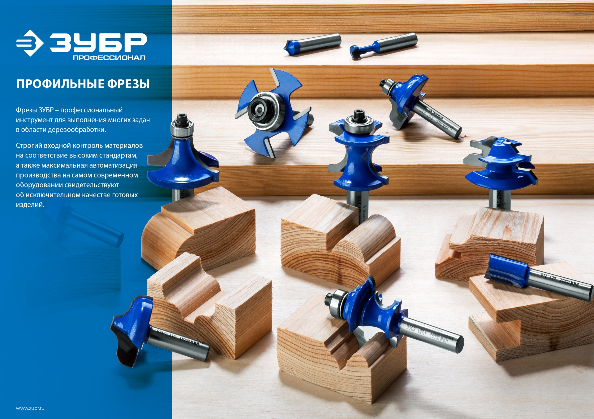 ЗУБР 22.2 x 8 мм, радиус 4.8 мм, фреза кромочная калевочная №2, Профессионал (28702-22.2)