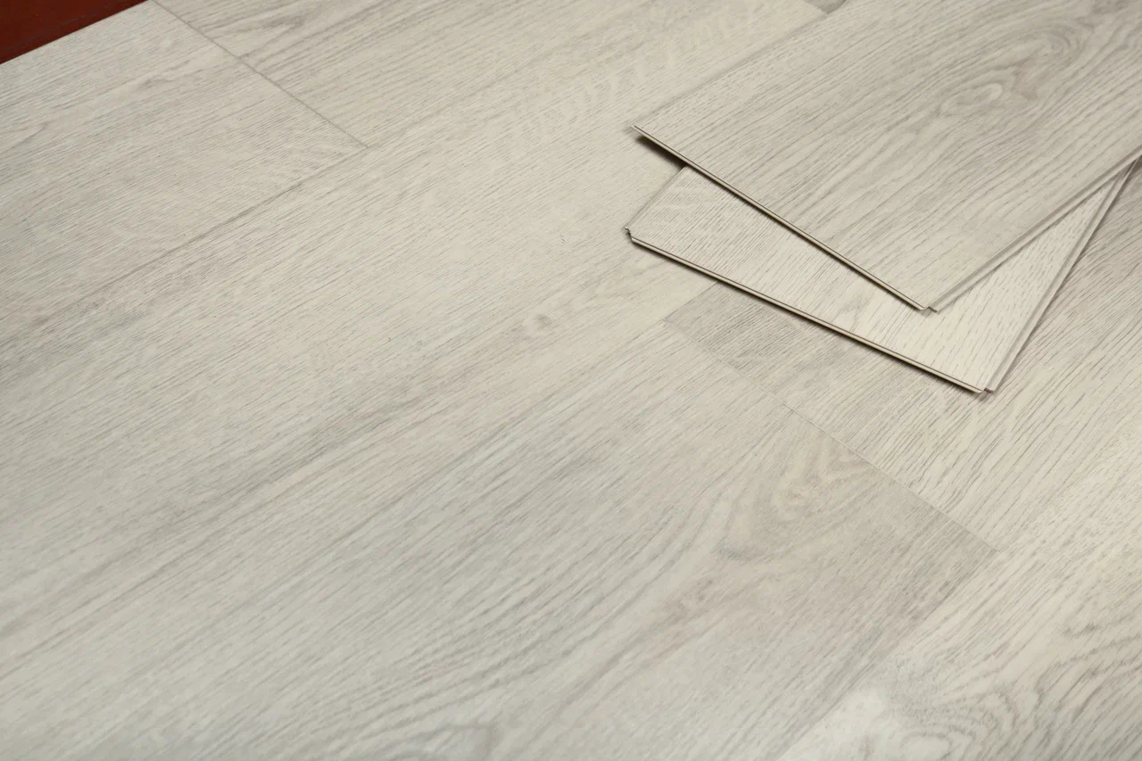 Дуб Виллем/Oak Willem