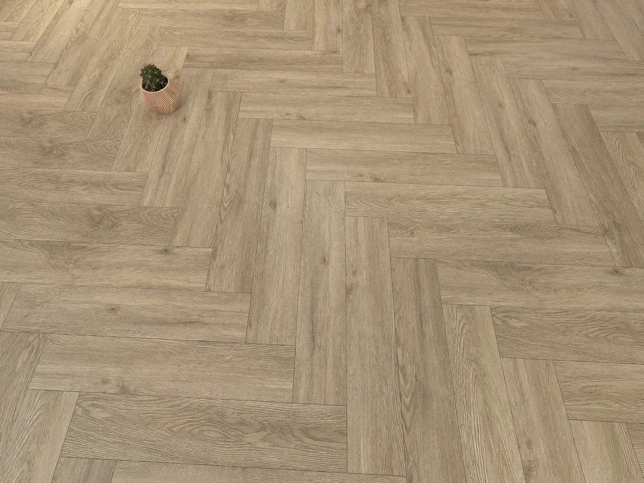 Дуб Бове/Oak Bouvet