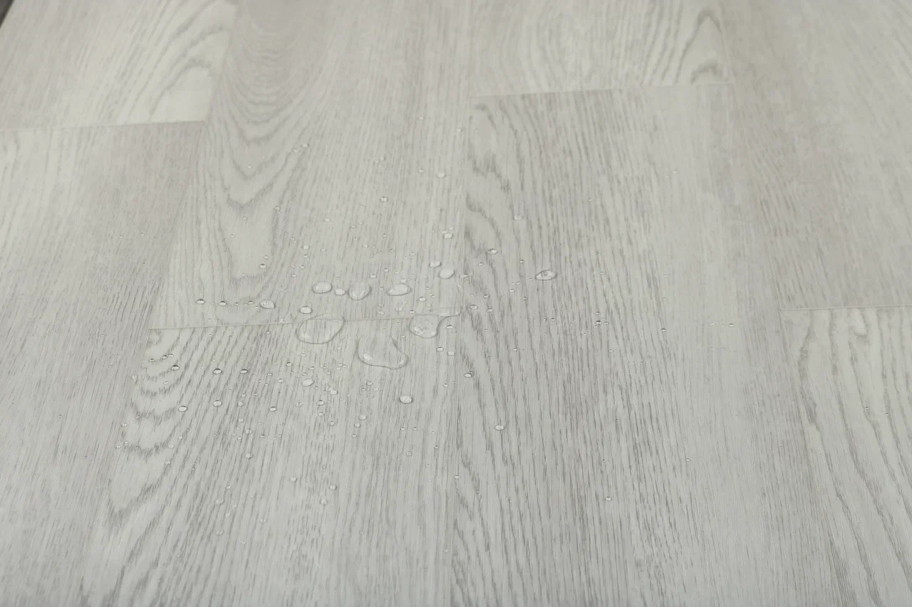 Дуб Сальваторе/Oak Salvatore