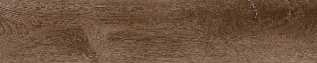 Дуб Старк/Oak Stark