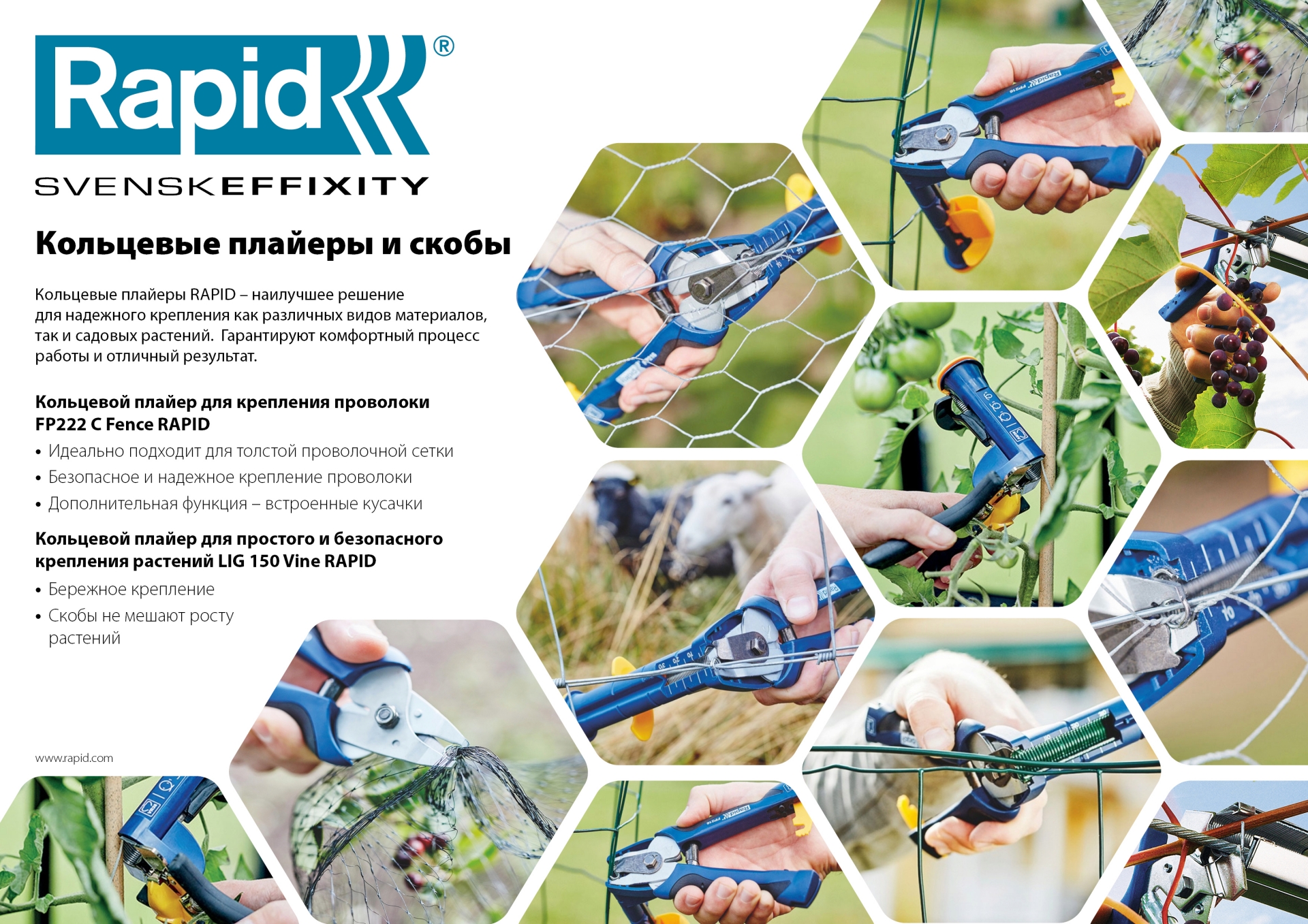RAPID FP222, VR22, 5 - 11 мм, 1600 шт, кольцевые профессиональные стальные скобы (40108810)