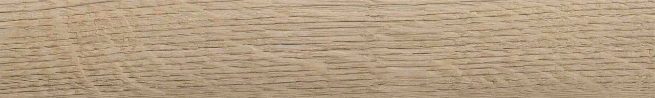 Дуб Васко/Oak Vasko